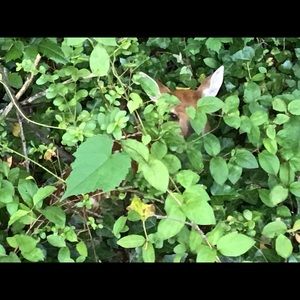 Meet your Posher, Marisa